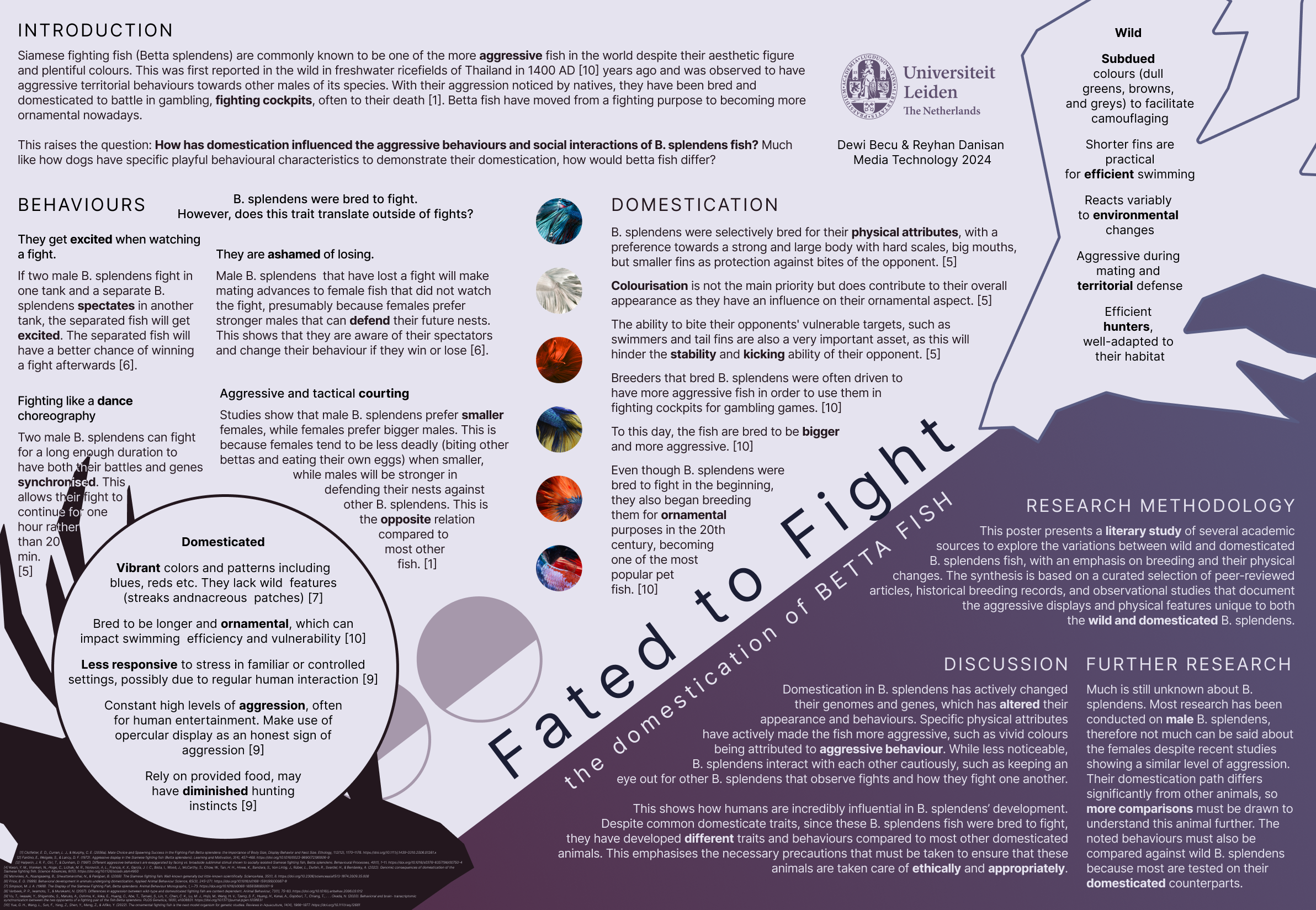 Fated to Fight screenshot