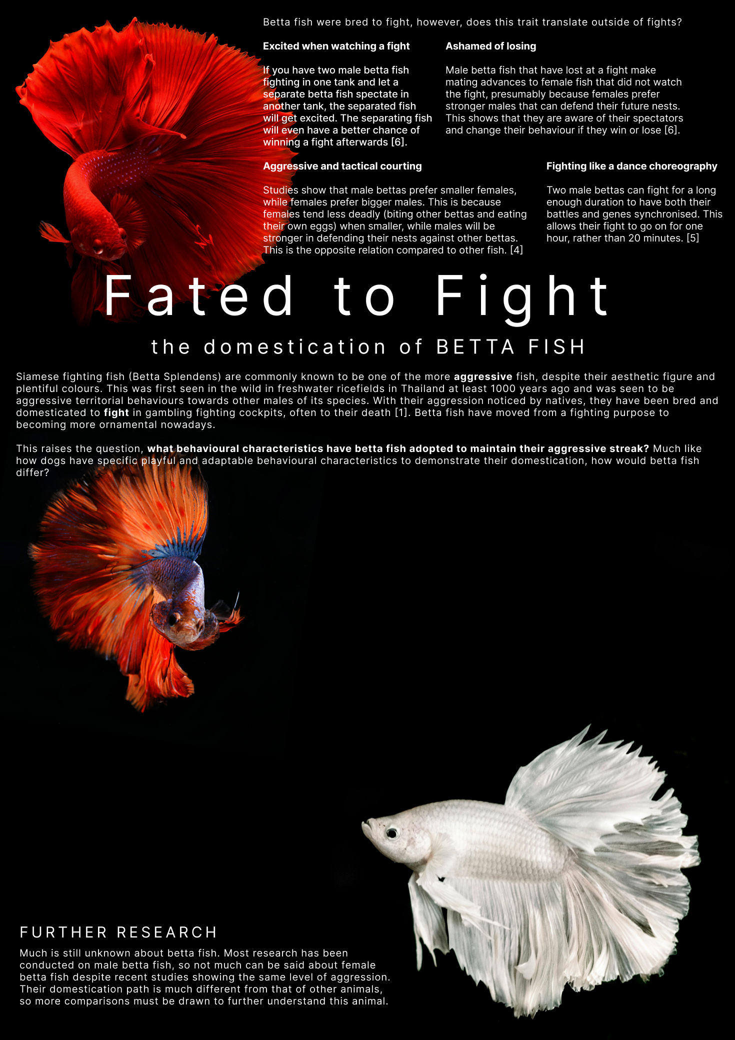 Fated to Fight screenshot